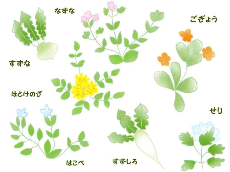 Seven autumnal flowers3